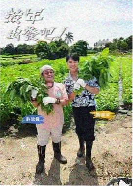 剧目封面图鉴样本三,用于综艺类目的序号与词汇命名校验